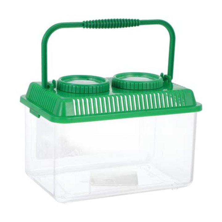 What is the container for animal cells?