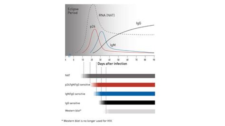 What is the difference between the IgM and IgG antibodies tests for COVID-19?