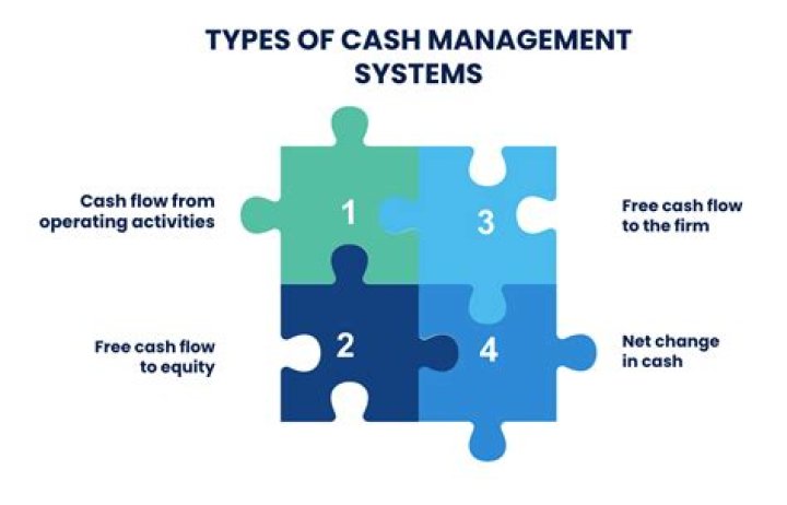What is the meaning of cash management?