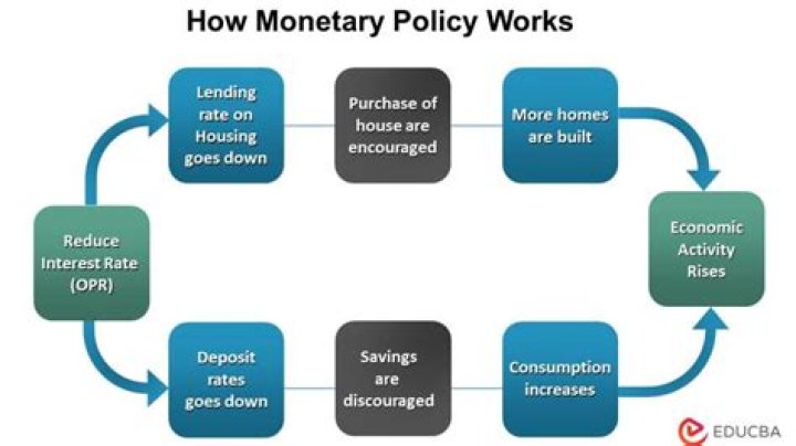 What is the meaning of economic policy?