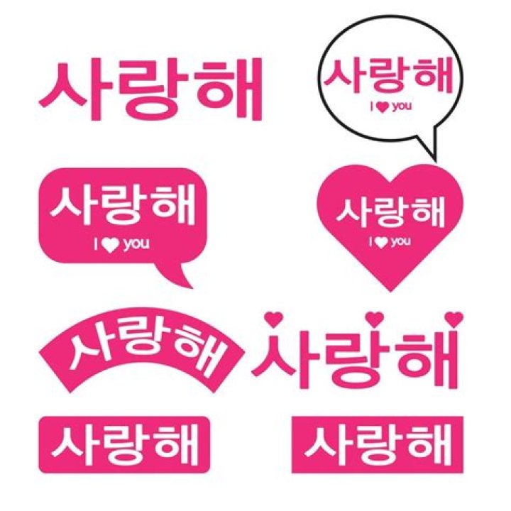 What is the meaning of Neol saranghae?