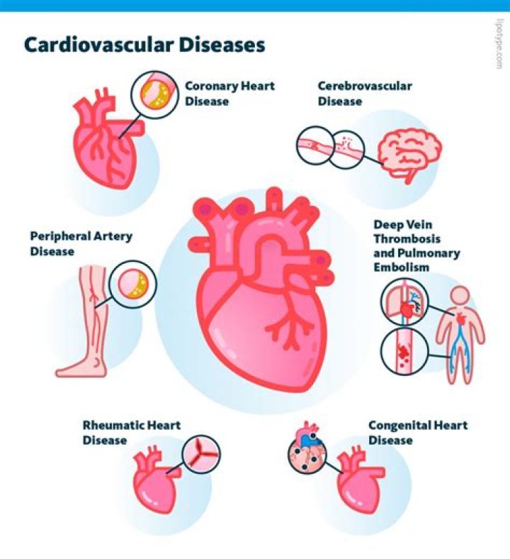 What is the most common cardiovascular disease in elderly?