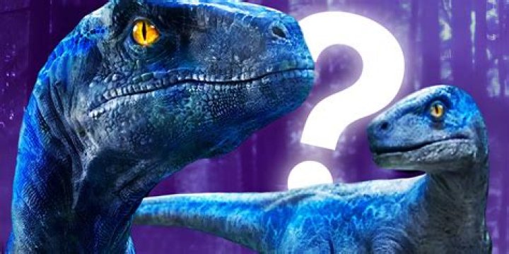 What is the rarest raptor in the world?