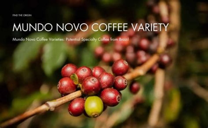 What kind of coffee is 100% Colombian?