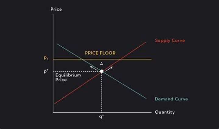 What problem can a price floor cause quizlet?