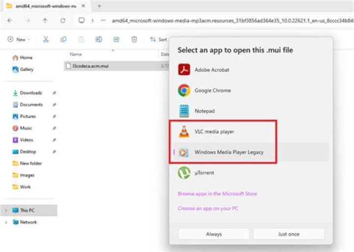 What program opens a DAT file?