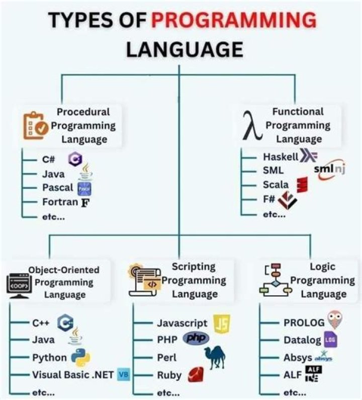 What programming language does the TI-83 Plus use?