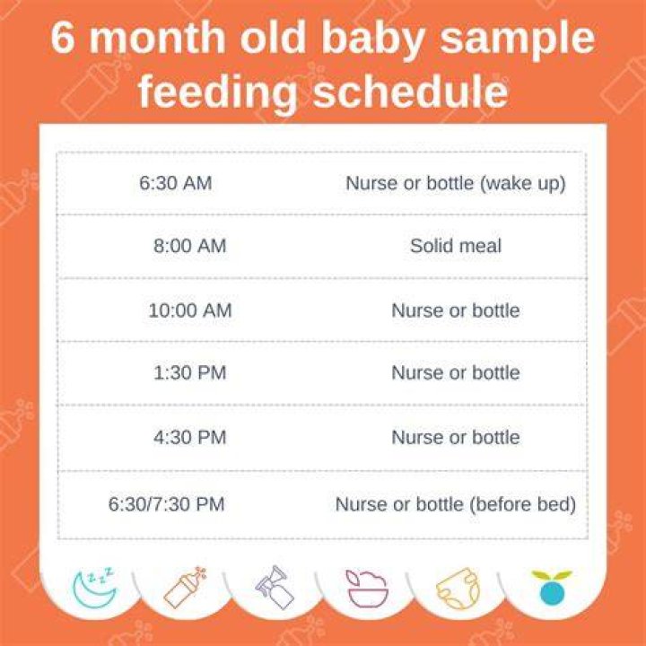 What should a normal 6-month-old be doing?
