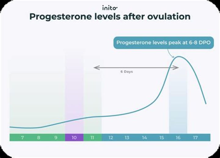 What should my hCG and progesterone levels be?