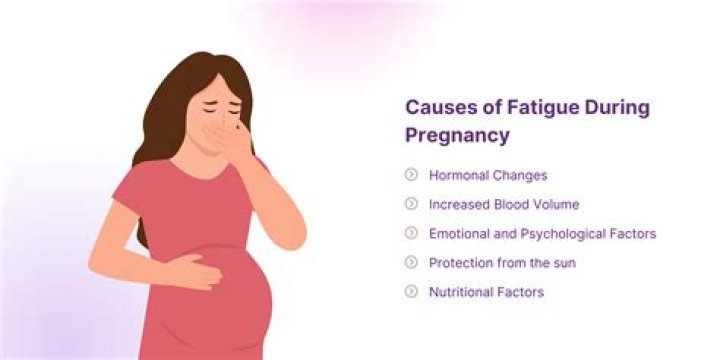When does extreme fatigue end in pregnancy?