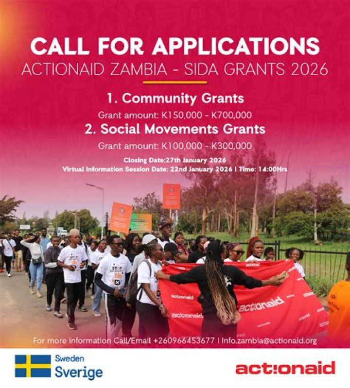 Where is ActionAid based?