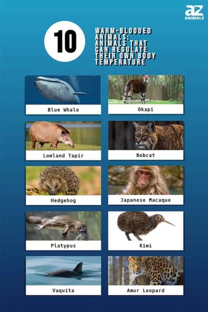 Which animal has the cleanest tongue?