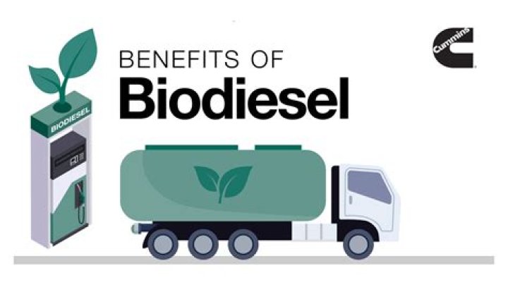 Which seeds are good for biodiesel?
