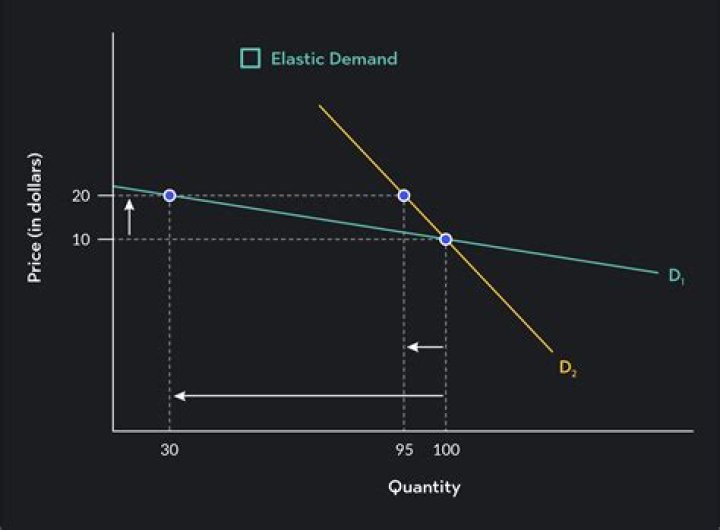 Which would have more elastic demand?
