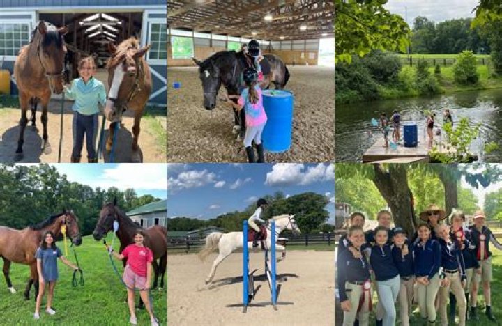 Who is Ogilvy equestrian?