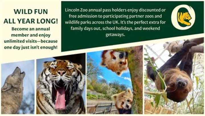 Who runs Lincoln Park Zoo?