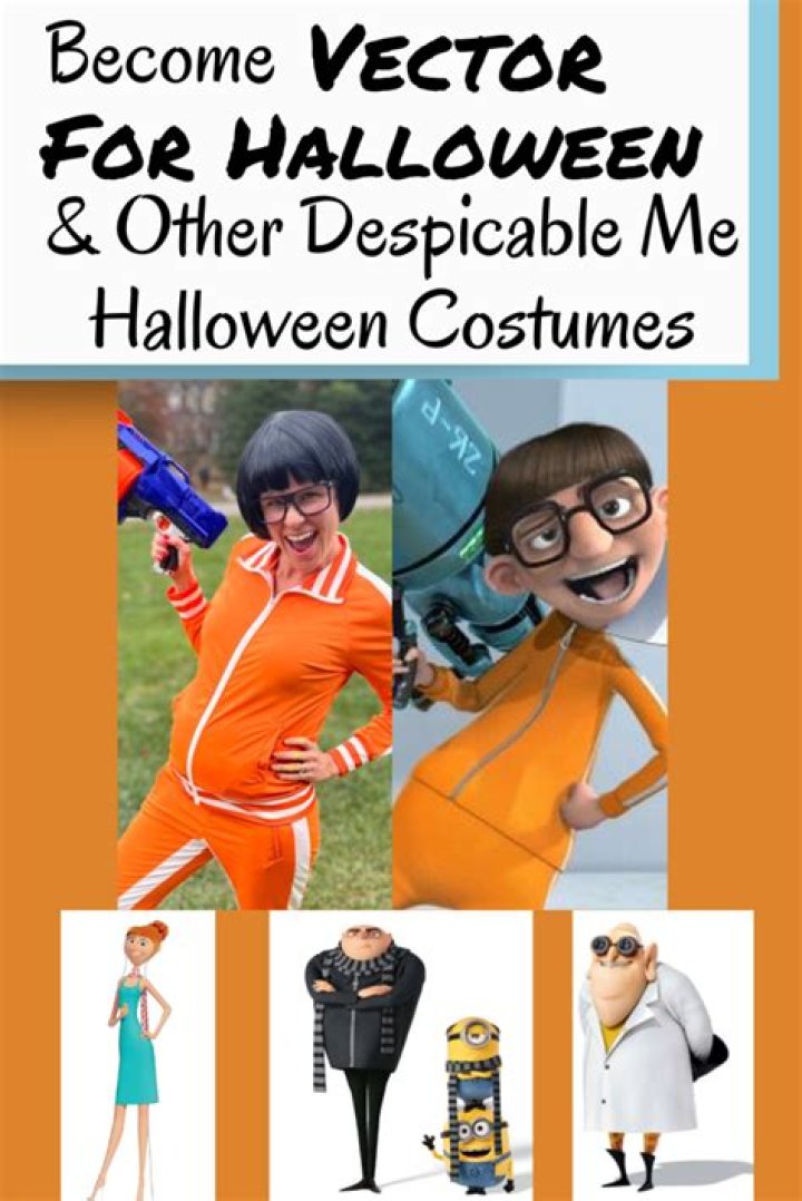 Why is vector from Despicable Me called vector?
